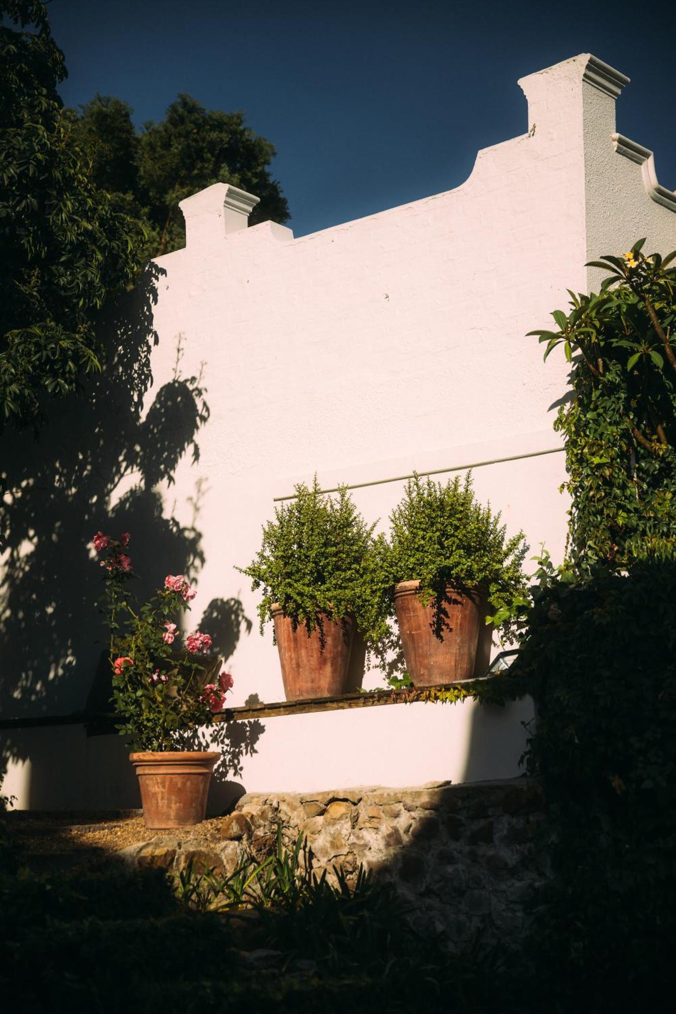 Acorn House Bed and Breakfast Κέιπ Τάουν Εξωτερικό φωτογραφία