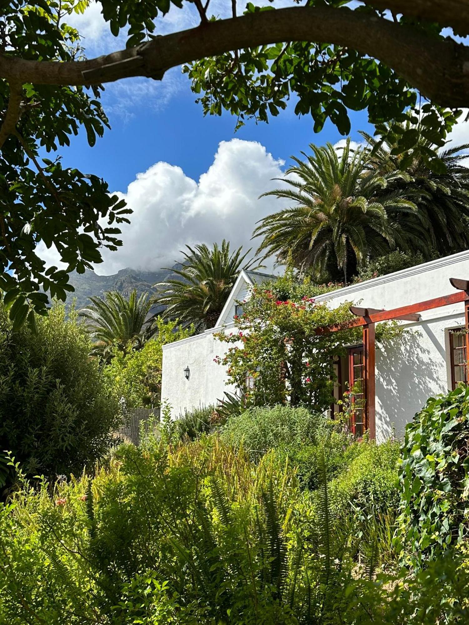 Acorn House Bed and Breakfast Κέιπ Τάουν Εξωτερικό φωτογραφία